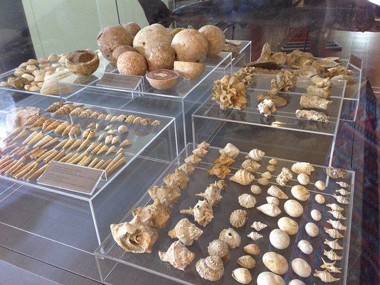 Gemeentelijk Museum THALASSA